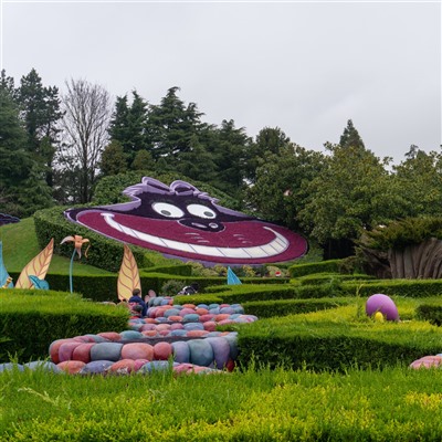 De betoverende wereld van Alice in Wonderland in Fantasyland